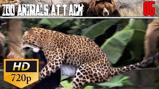 ☆Zoo Animals?Attack 05 | Best Epic Animals Attack Compilation☆