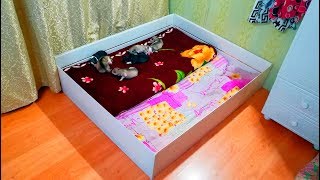 Как сделать ЯСЛИ для ЩЕНКОВ