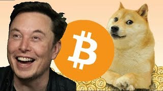 $9,000 Bitcoin Price Or Will BTC Flat line this Crypto summer