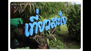 HOTSIA Home stay (บ้านเที่ยวสะใจ)
