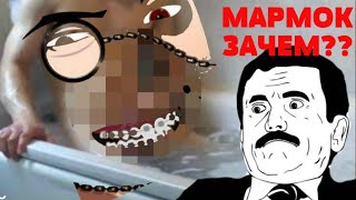Marmok ПОКАЗАЛ ЧЛЕН НА ВИДЕО