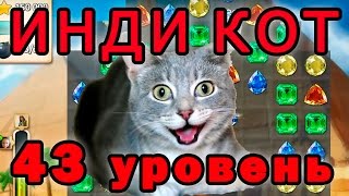 Инди кот 43 уровень прохождение и как пройти за один раз