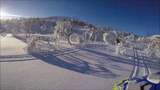 Ski doo Summit 850 154'' and 165'' in action