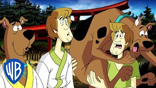 Scooby-Doo! en Latino | El Dragón Verde ???? | WB Kids