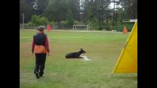 MOV07581 WMV V9