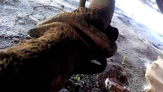 Дальнобой ФОРД ТРАНЗИТ. СНИМАЕМ И ВАРИМ ГЛУШИТЕЛЬ.