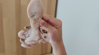 ????Пробуем маринованных ????осьминогов Лев угощает нас осьминожками ????Впервые едим осьминога ????Морепродукты