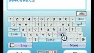 Nintendo Wii Internet CHANNEL review