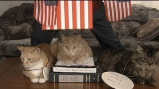 Olympic Cat Yodeling