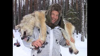 Охота на волков 2019
