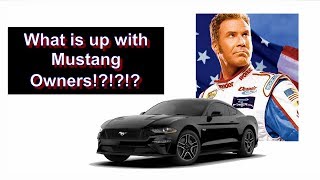 Mustang Curse