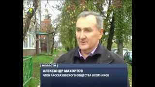 Чупакабра в Рассказово.След.Заключение ветлаборатории