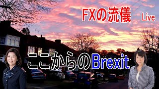 音声修正版　FXの流儀　ライブ配信　ここからの Brexit
