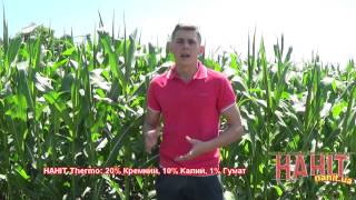 НАНІТ Thermo микроудобрения для сохранения влаги HAHIT | НАНИТ