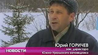 Деревня Реветь, Белорецкий район