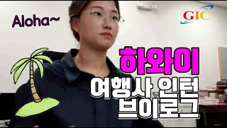#미국인턴브이로그 하와이에서의 인턴생활? 인턴 꿀팁 대공개!