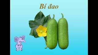 dạy bé các loại rau củ - day be cac loai rau cu - rau cu