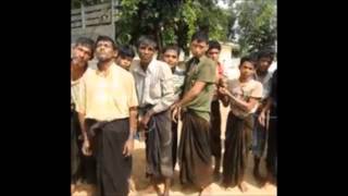 Rohingya Under Pogrom