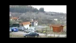Greek Pigeons Wuta Polimeris ελληνικά περιστέρια βούτες (4) 2011