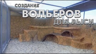 Создание 6 вольеров из бетона для Рысей в зоопарке