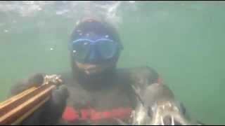 Jalapão Dive XIV