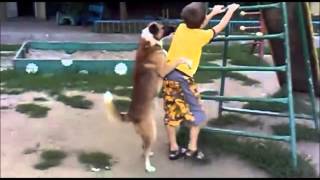 Собаки трахают алкашей=) HD