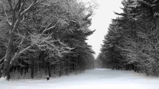 angels in the snow