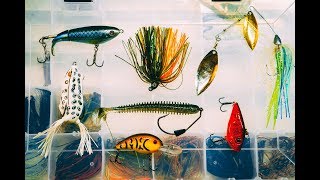 (My) TOP 5 SUMMER BASS LURES