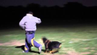 Working Dogs of Tejas presents: Rage In Rhome