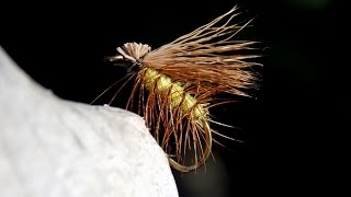 Elk hair caddis fly tying instructions by Ruben Martin