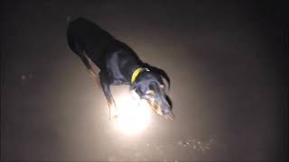 3009
