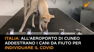 Italia: all’aeroporto di Cuneo addestrano i cani da fiuto per individuare il Covid