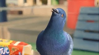 НАТАША ОПЯТЬ НАПИЛАСЬ