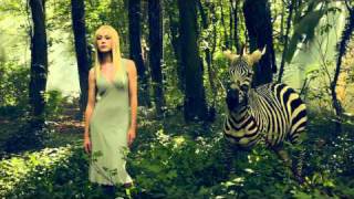 Drew Gardner Zebra Photo - Epic Fashion BTS video