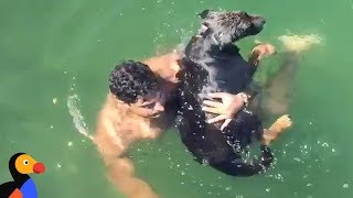 Firefighter Saves Drowning Dog, Reunites Him With Family | The Dodo