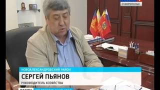 Свекольный дисбаланс на Ставрополье