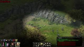 Pillars of Eternity (Путь проклятых) - Маграново Распутье