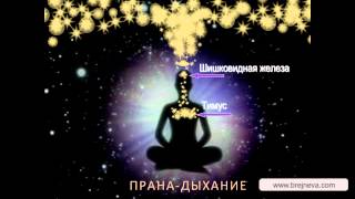 Медитация Прана-дыхание