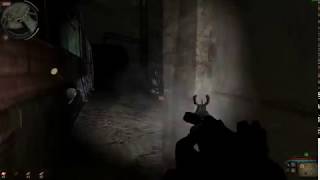 Stalker Call of Chernobyl - Snorks