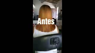 Morena Acobreada, mechas inversas e retoque de raiz com brancos.