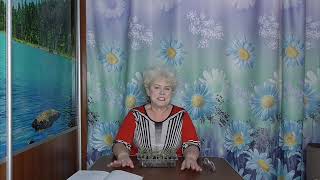 Когда начинать посевы томатов? Самый простой способ высчитать дату посева.