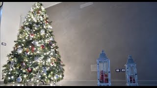 L'albero di Natale che si fa da solo!