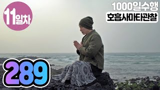 ☯ 호흡사마타관찰명상✚수면명상 11일차▶귓전명상수련(289/325일)