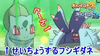 せいちょう「フシギダネ」によるサイクル破壊戦法-リトバス対戦集-【ポケモン サン ムーン】