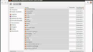 Adicionar Módulo PKCS11 do ePass2000 no Firefox do Linux Ubuntu 11