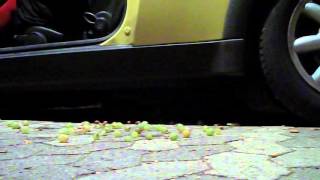 candid crush - grapes 13