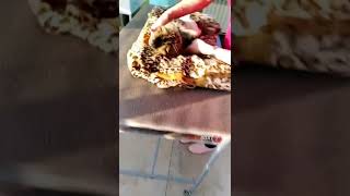 В Находке в упор расстреляли домашнего кота