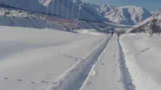 Азоби Fариби