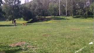 Гуров Сергей - малинуа Лина, дог-дартби 20.05.12