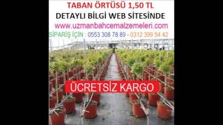 sera taban örtüsü, yer örtüsü